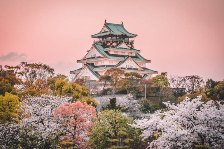 The 6 Best Travel Cards for Japan in 2023 Exiap